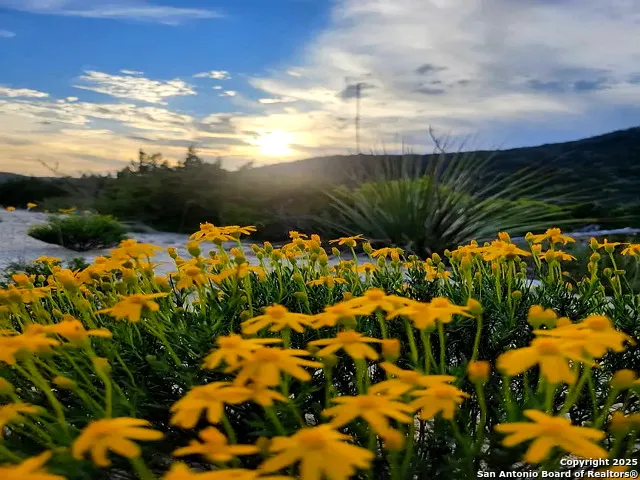 a view of swimming pool with a garden