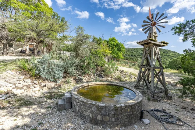 a view of a yard with a tree