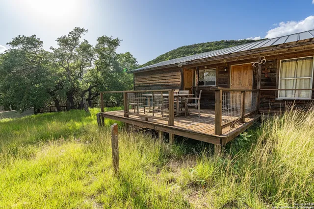 a view of a bunch of trees in the background