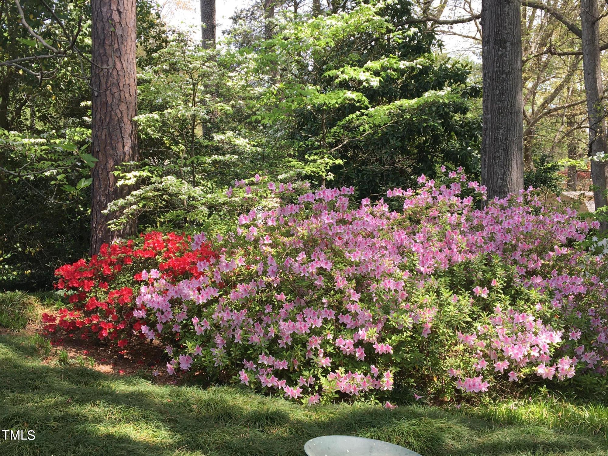 4832 Latimer Road Raleigh, NC 27609 - Photo 5 of 47 IMG_4020 (1)