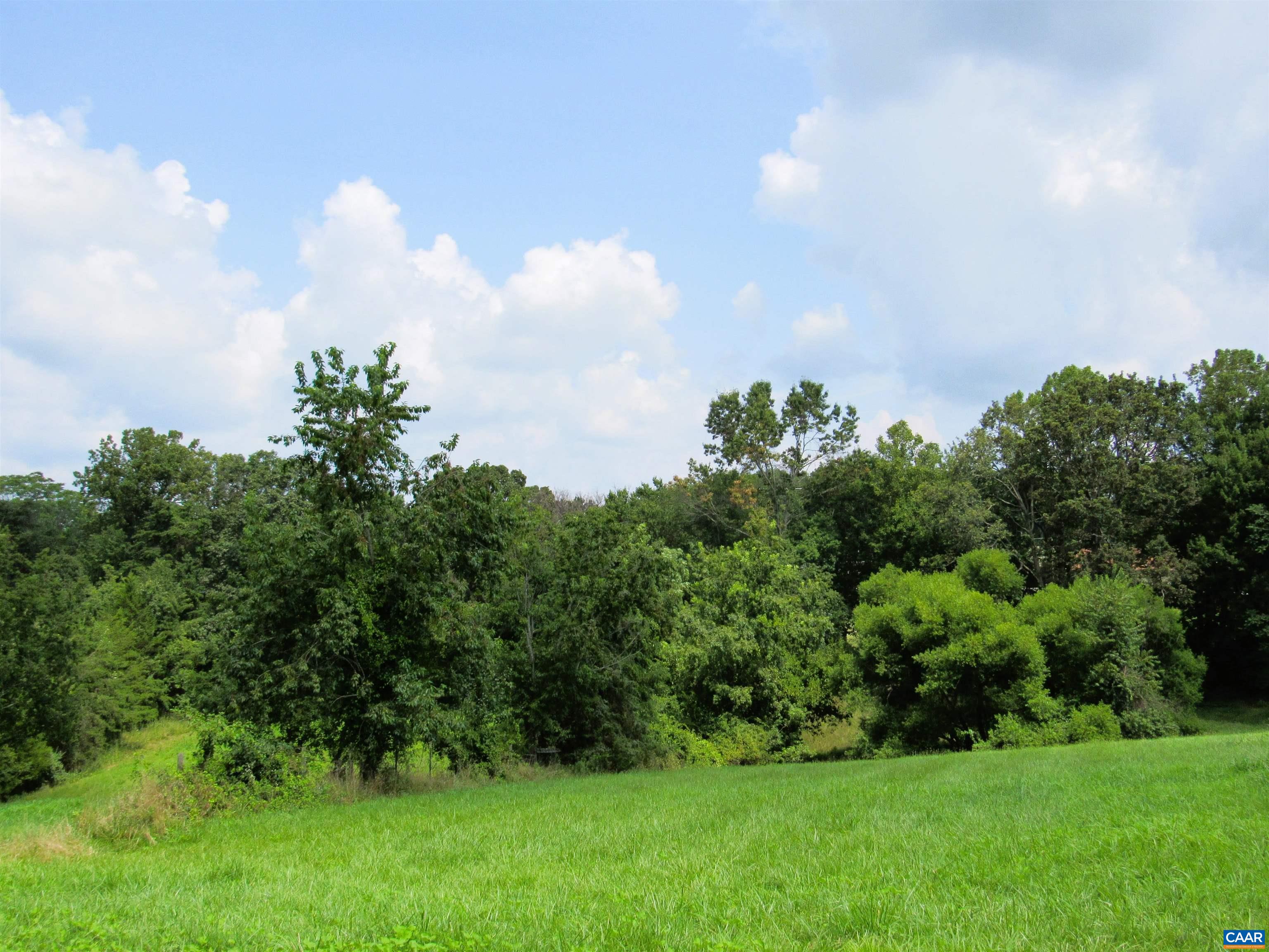 1358 South Coolwell Road Madison Heights, VA 24572 - Photo 22 of 27 a view of a garden with a building in the background