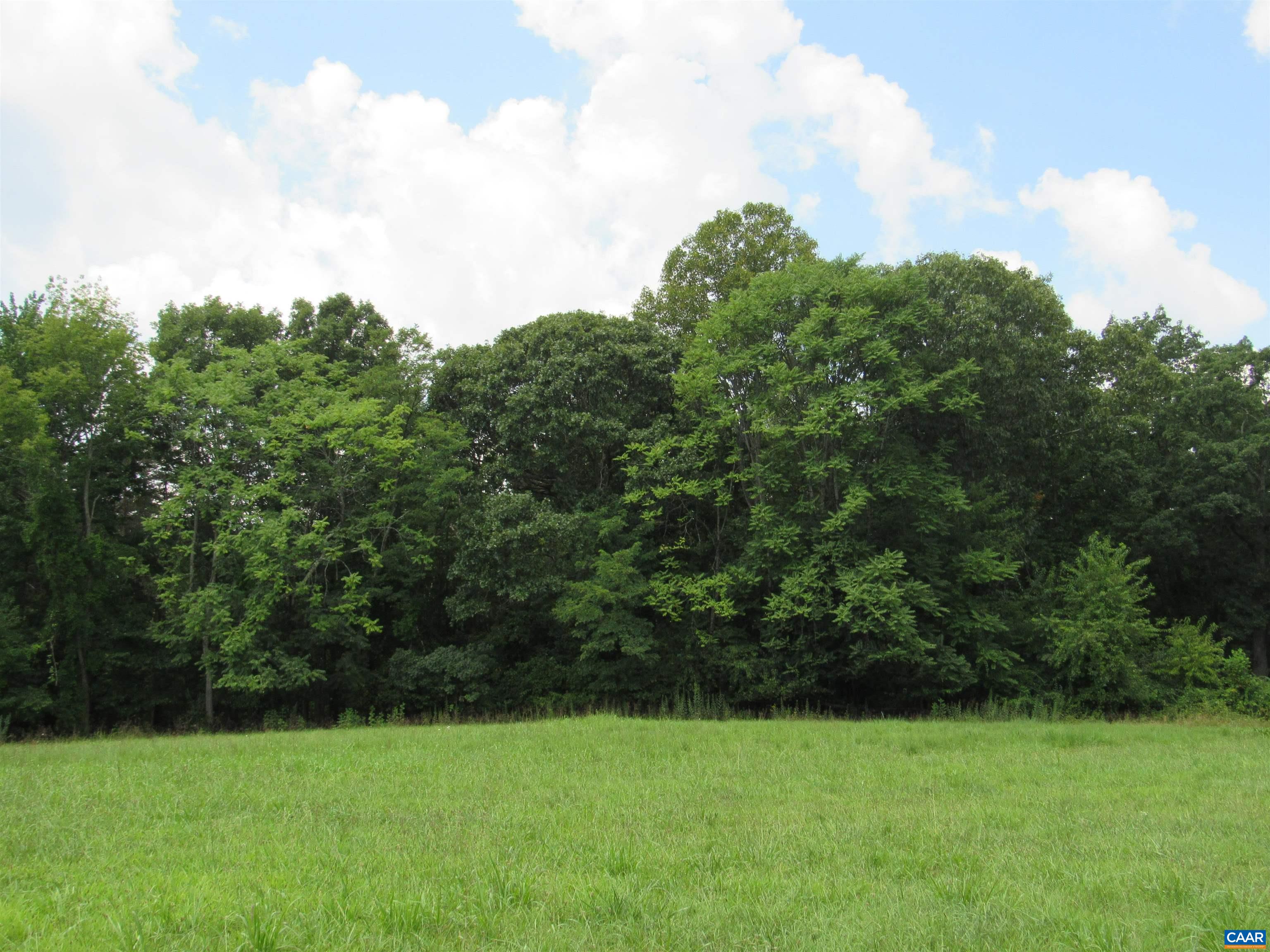 1358 South Coolwell Road Madison Heights, VA 24572 - Photo 26 of 27 a view of a green field with trees in the background