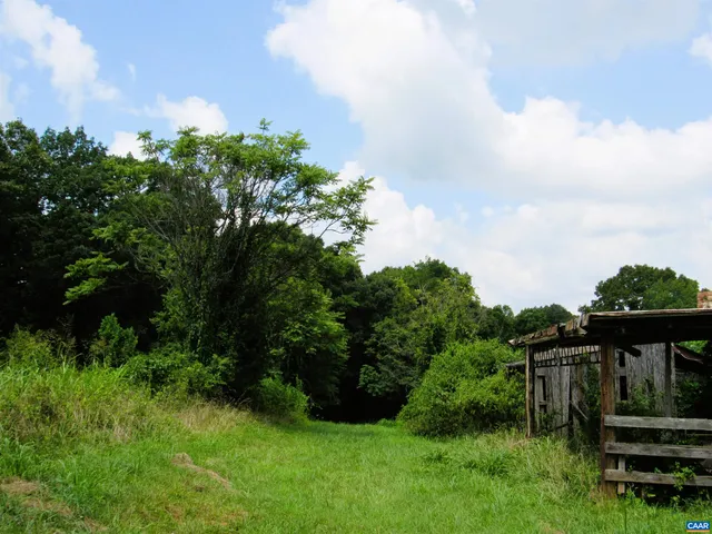 a view of a backyard with plants and a fountain