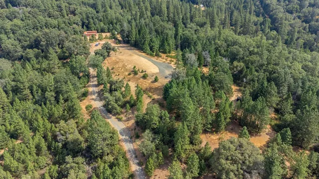 a view of a forest with a park