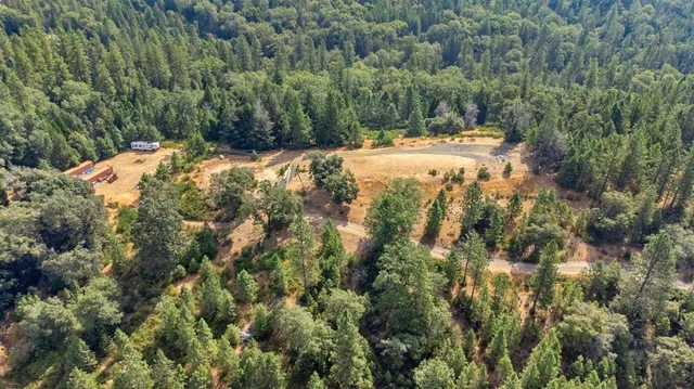 a view of a yard with a tree