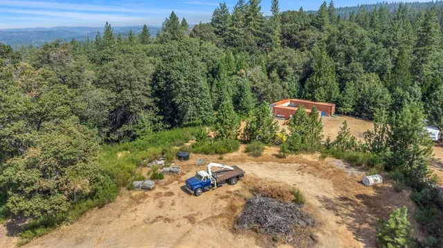 a view of a backyard with plants and a lake view