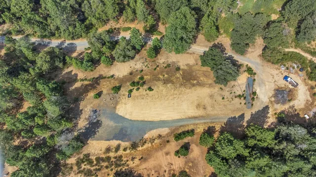 a view of a lake in a forest