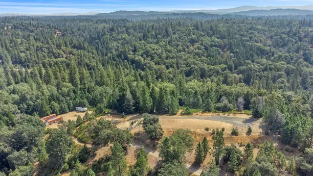 a view of a field with a tree in the background