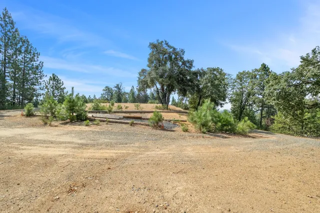 a view of backyard with tree