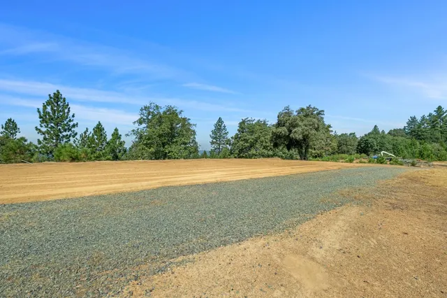 a view of a field with trees in the background