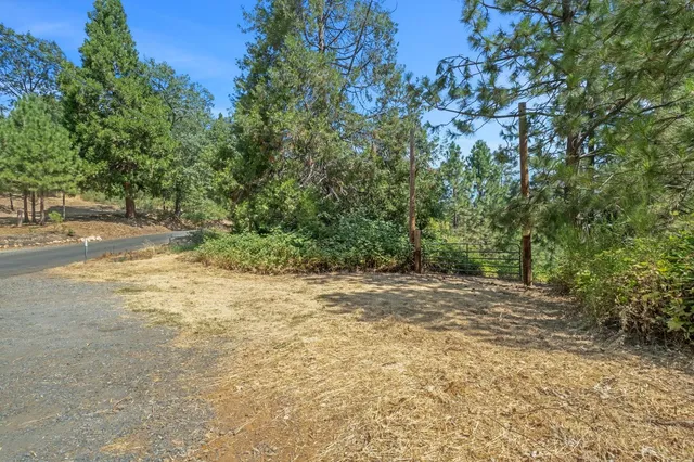 a view of a yard with a tree