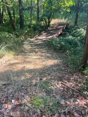 a backyard of a house with lots of green space