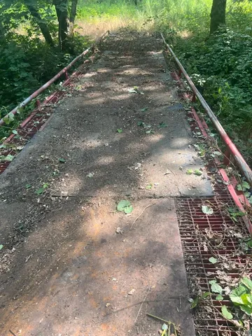 a view of a forest with trees