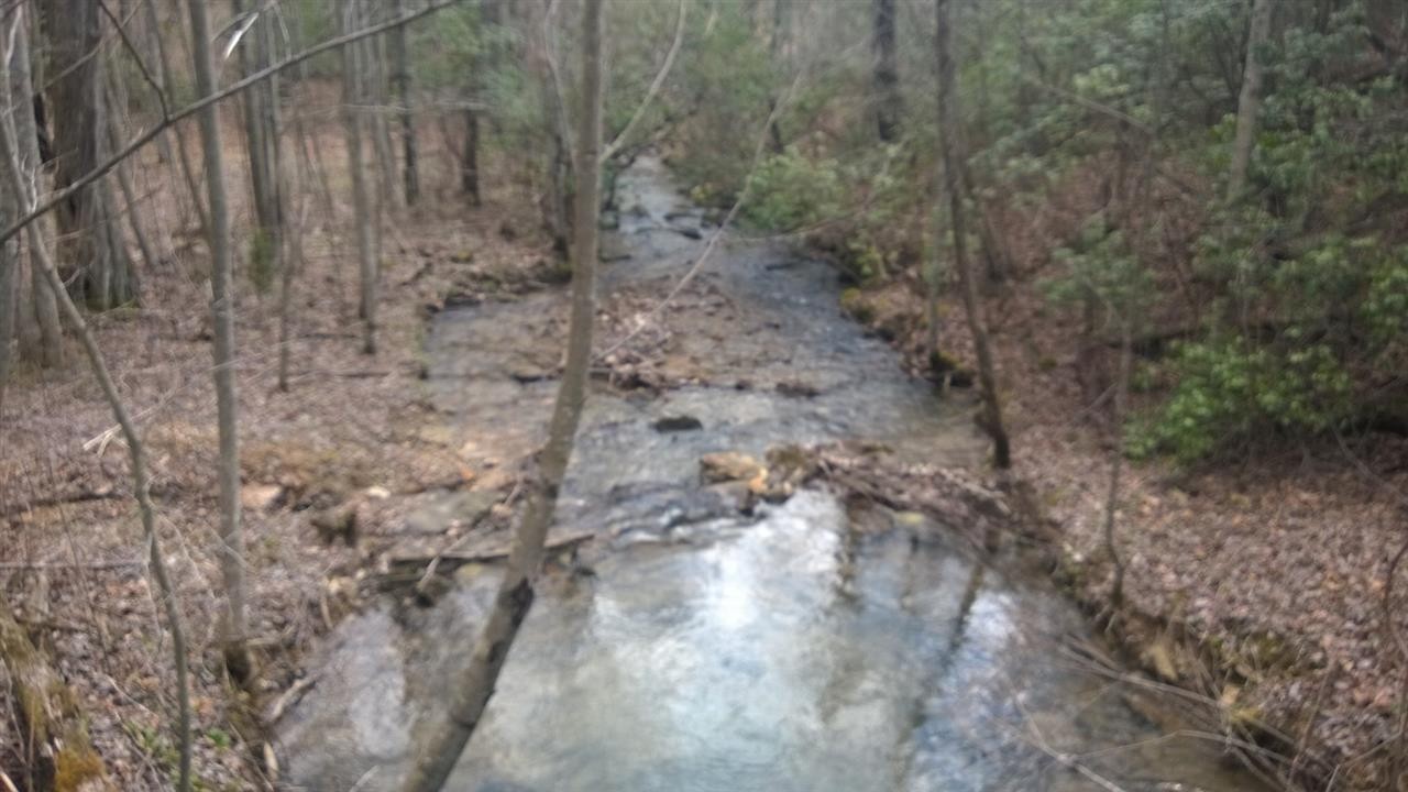 0 Dustin Creek Road Spring City, TN 37381 - Photo 1 of 1 Gallery Image 1