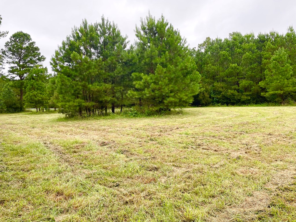 Lot 3 Green Landing Road, Unit 3 Onancock, VA 23417 - Photo 36 of 43