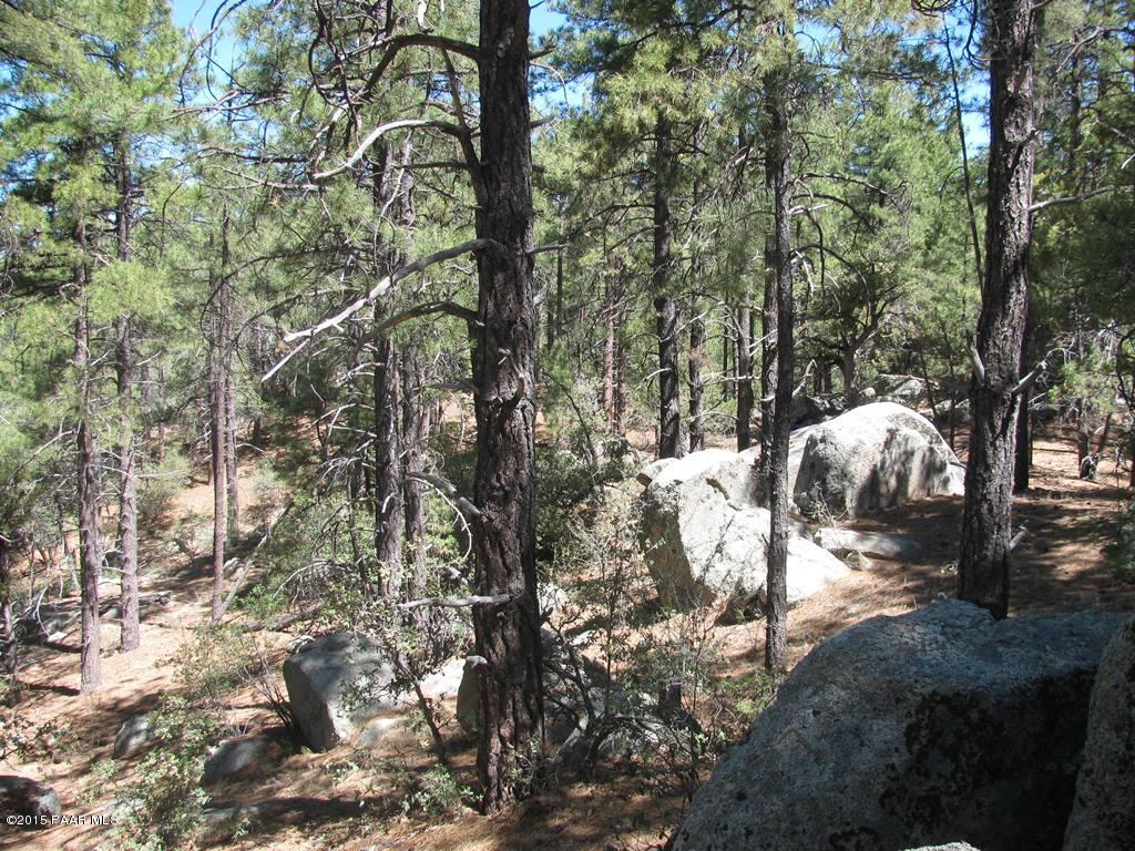 Lot 013 Copper Basin Road Prescott, AZ 86303 - Photo 8 of 9 a view of outdoor space