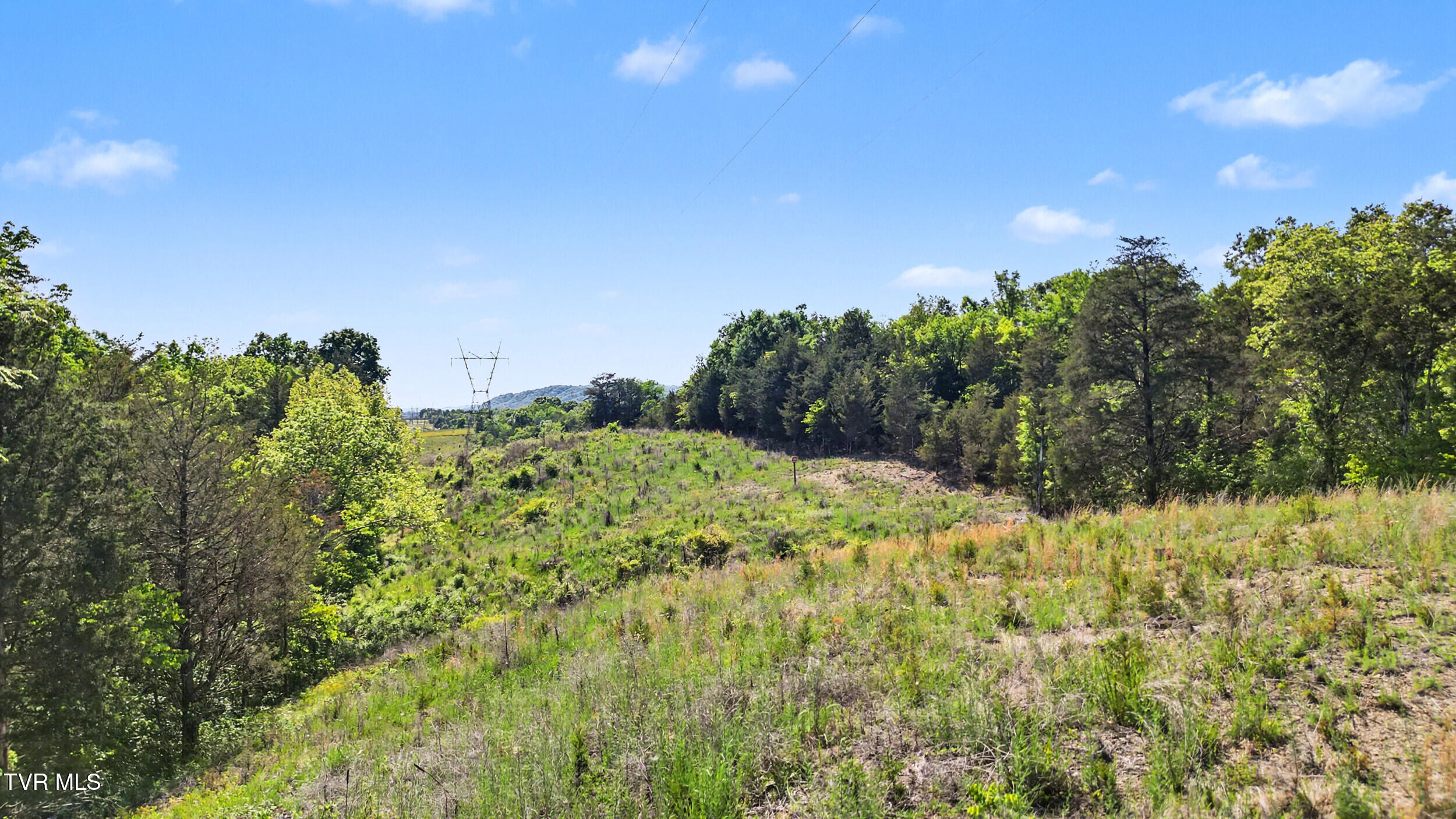 7.5-acres Oak Hills Road Mosheim, TN 37818 - Photo 1 of 15 8_dji_0207