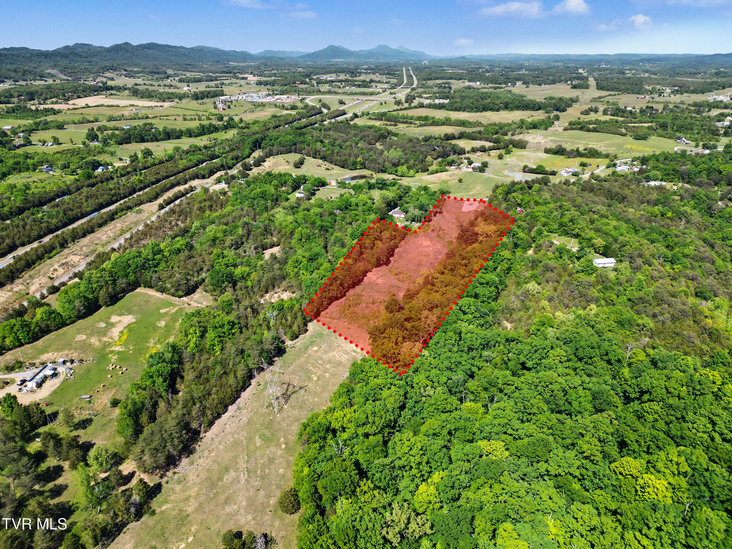 7.5-acres Oak Hills Road Mosheim, TN 37818 - Photo 15 of 15 15_property line 2 -final
