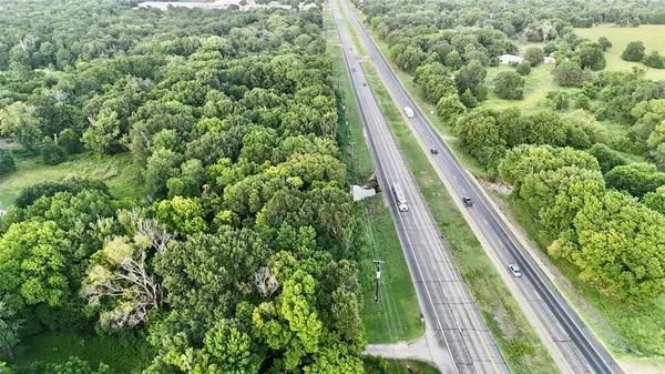 a view of a garden with a large trees