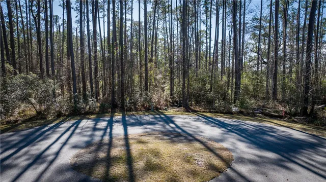 $42,900 | Lot 214 Riverpoint Lane Northeast, Townsend, GA 31331