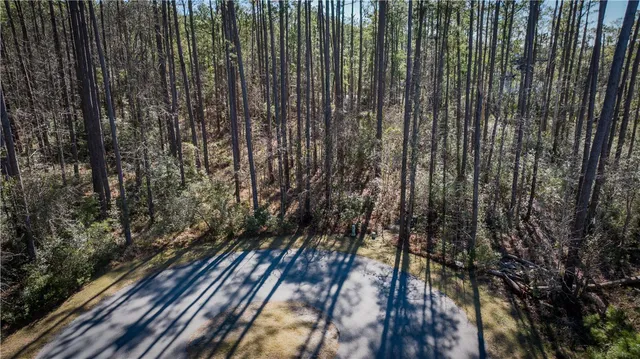 $42,900 | Lot 214 Riverpoint Lane Northeast, Townsend, GA 31331