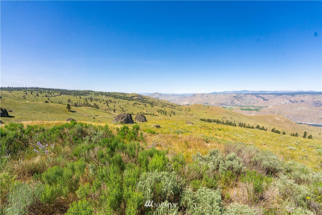 21 Long Draw Road Waterville, WA 98858 - Photo 4 of 27 a view of an ocean