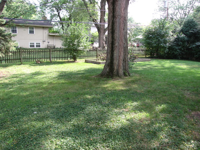 320 West Gartner Road Naperville, IL 60540 - Photo 20 of 22