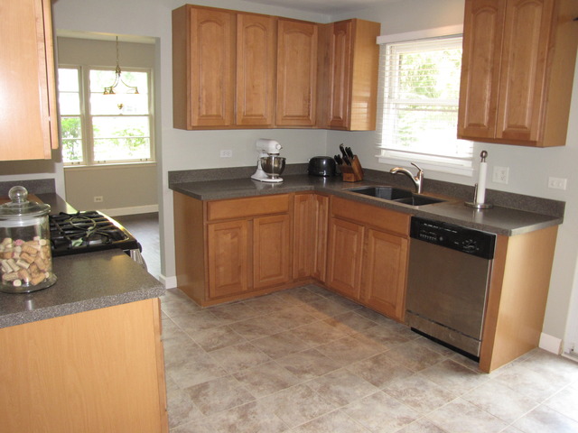 320 West Gartner Road Naperville, IL 60540 - Photo 8 of 22