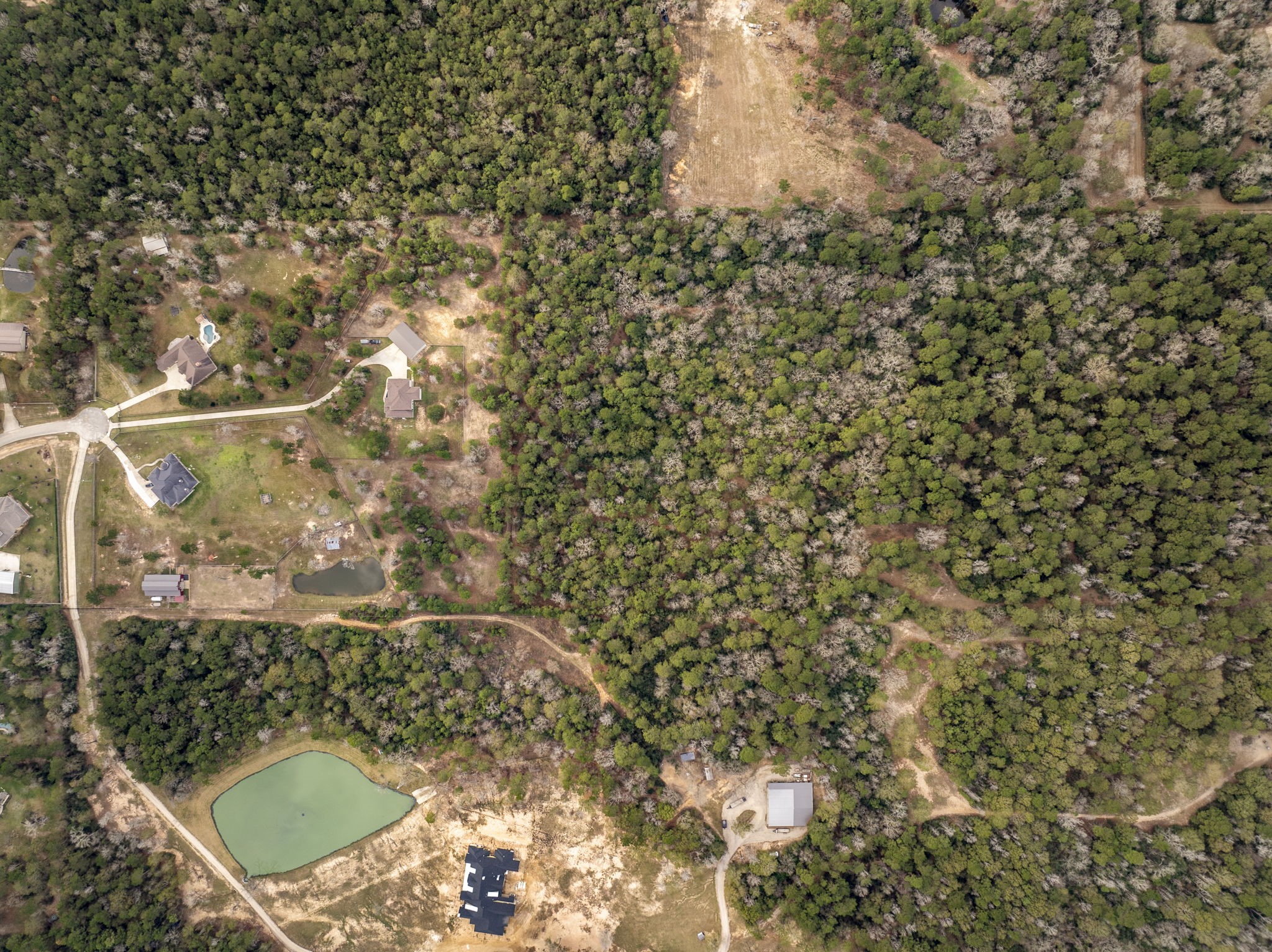 15547 Knotty Oaks Trail Magnolia, TX 77355 - Photo 6 of 11 a view of a yard