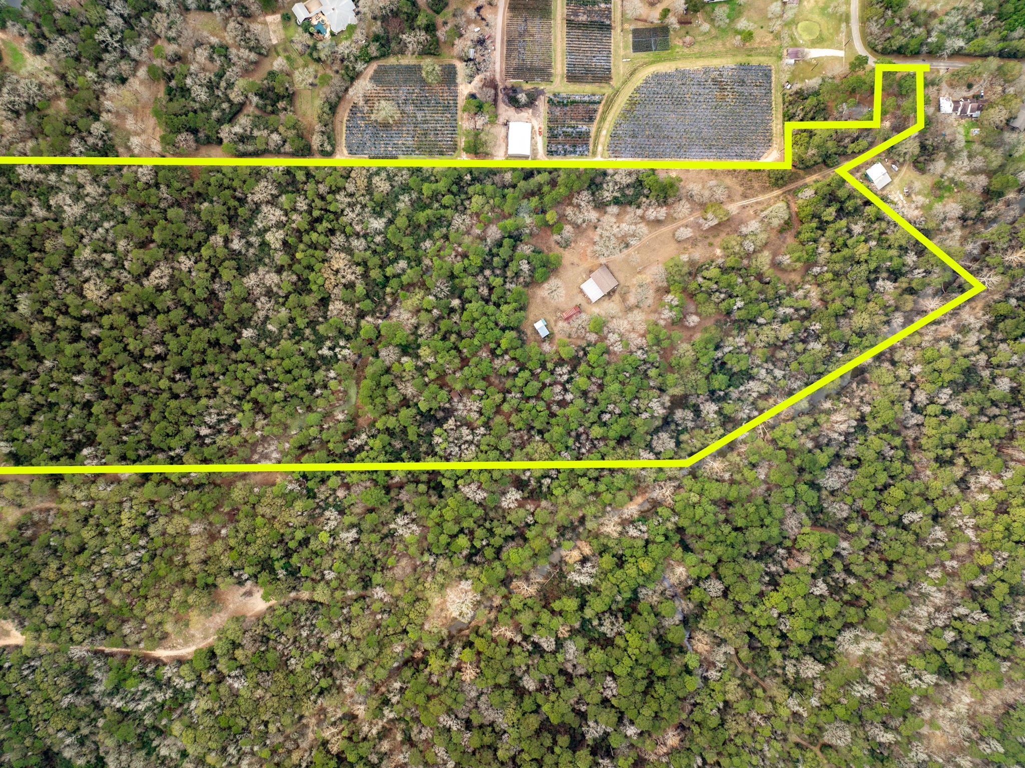 15547 Knotty Oaks Trail Magnolia, TX 77355 - Photo 10 of 11 a view of a yard