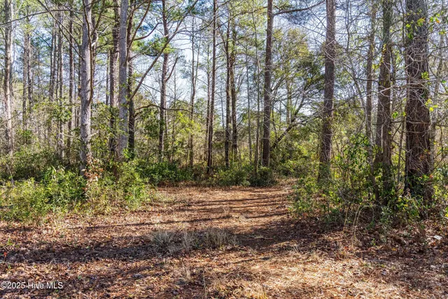 $339,900 | 111 Saw Grass Drive, Maple Hill, NC 28454