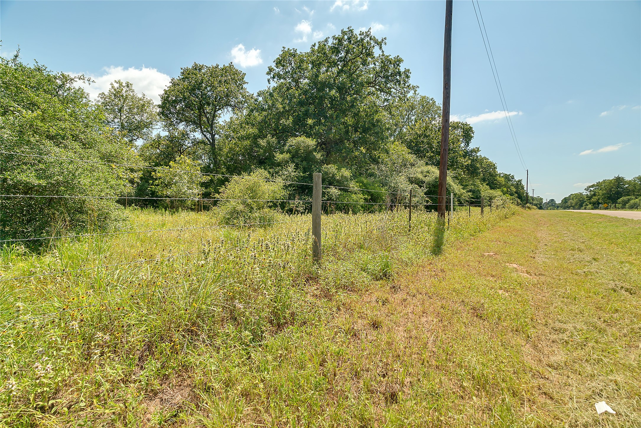 0 County Road 215 Weimar, TX 78962 - Photo 14 of 44 a view of yard with swimming pool and trees