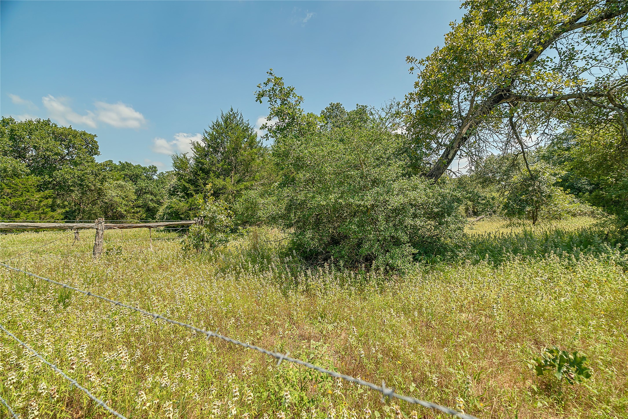 0 County Road 215 Weimar, TX 78962 - Photo 19 of 44 a view of a lake from a yard