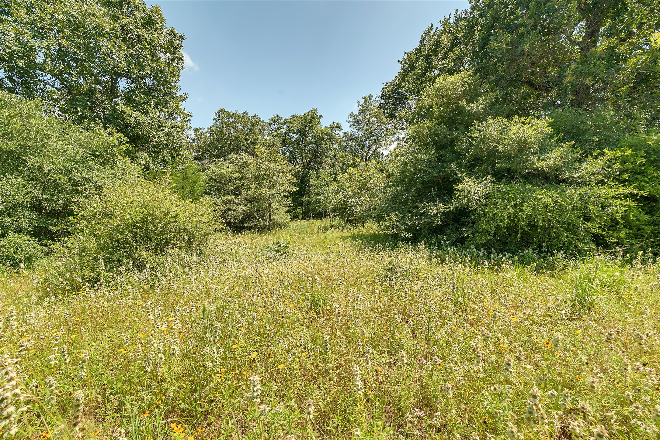 0 County Road 215 Weimar, TX 78962 - Photo 3 of 44 a view of a lake view