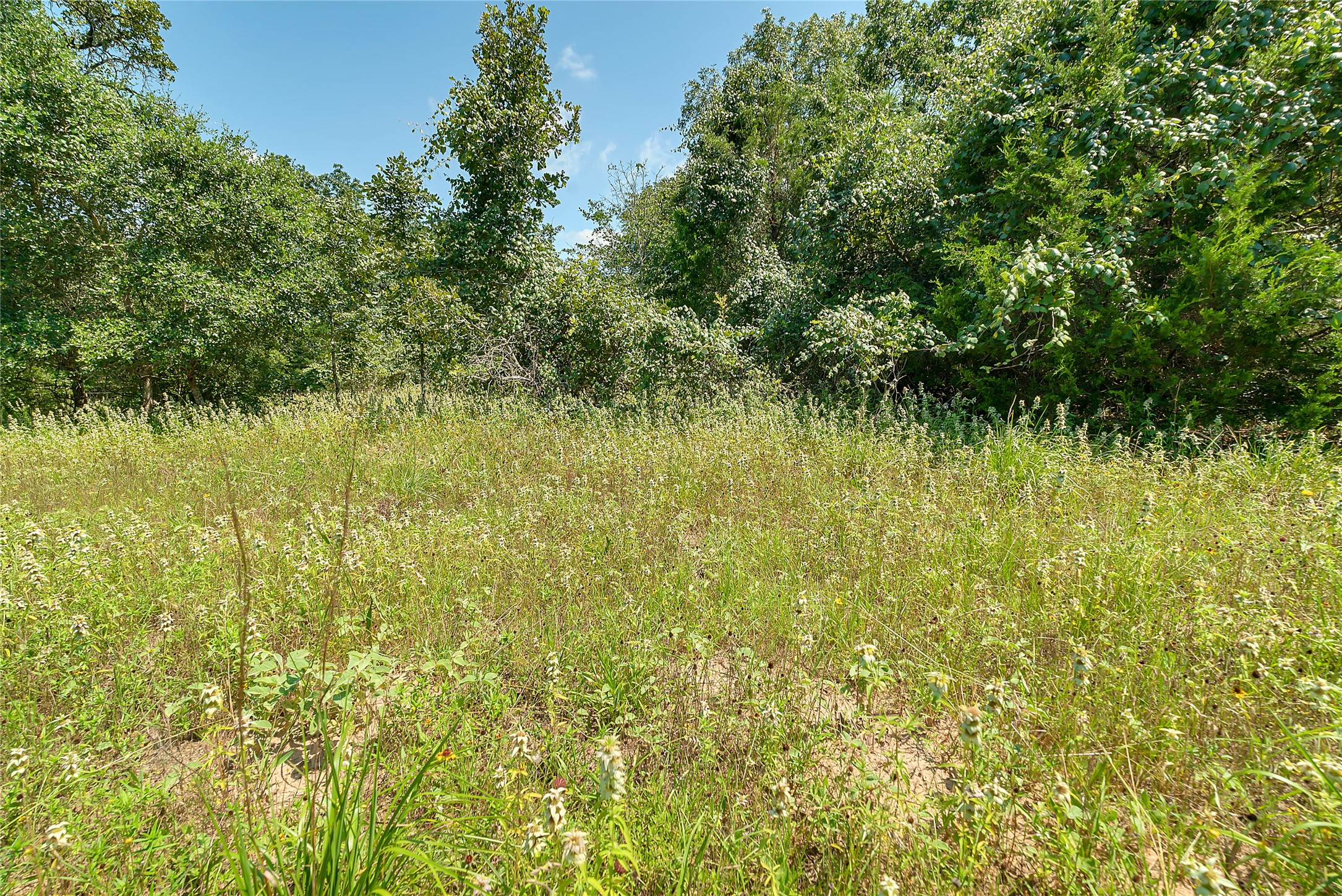 0 County Road 215 Weimar, TX 78962 - Photo 32 of 44 a view of yard with green space