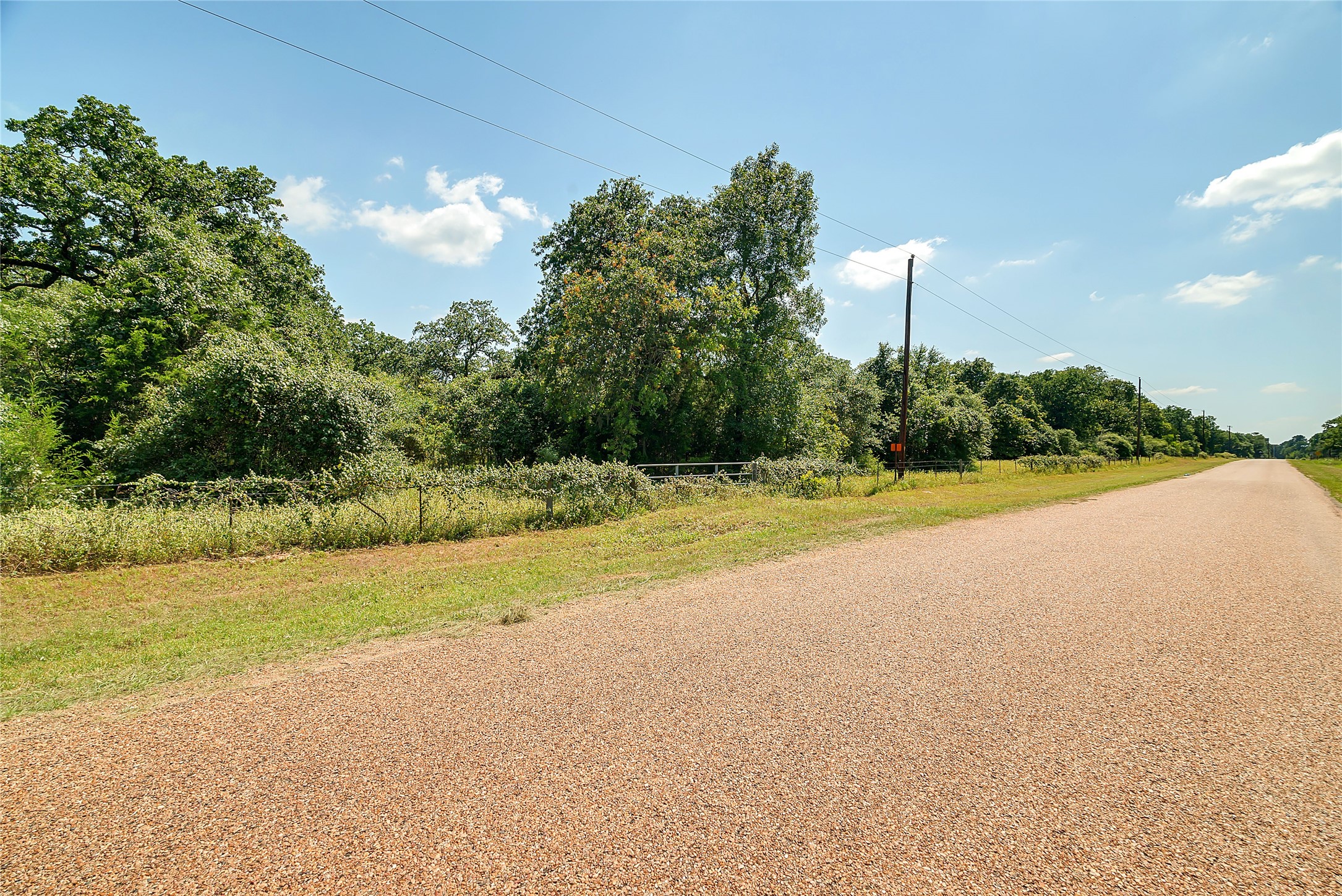 0 County Road 215 Weimar, TX 78962 - Photo 44 of 44 a view of a house with a yard and a large tree
