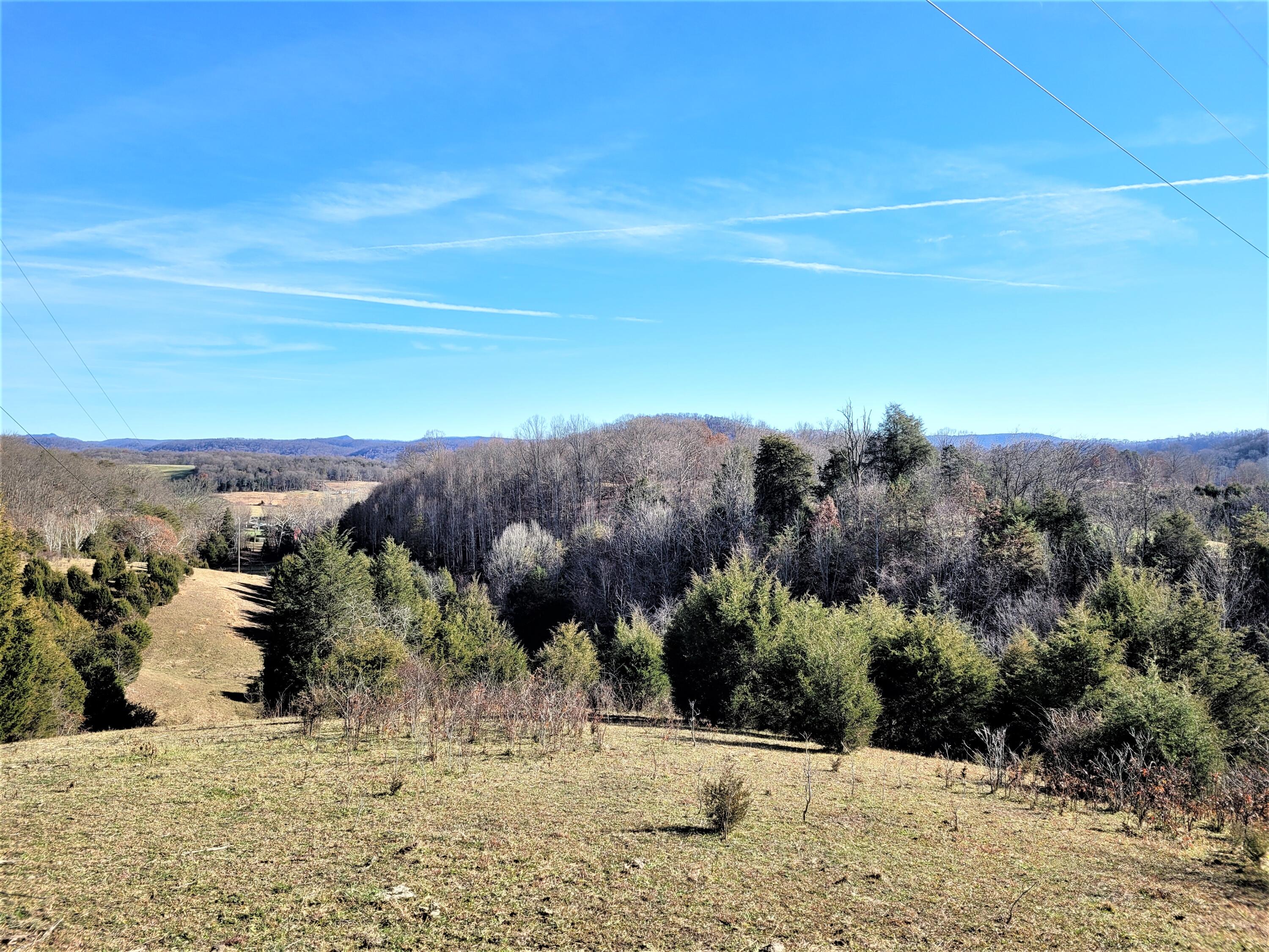 397 Richards Road Rogersville, TN 37857 - Photo 2 of 12 12