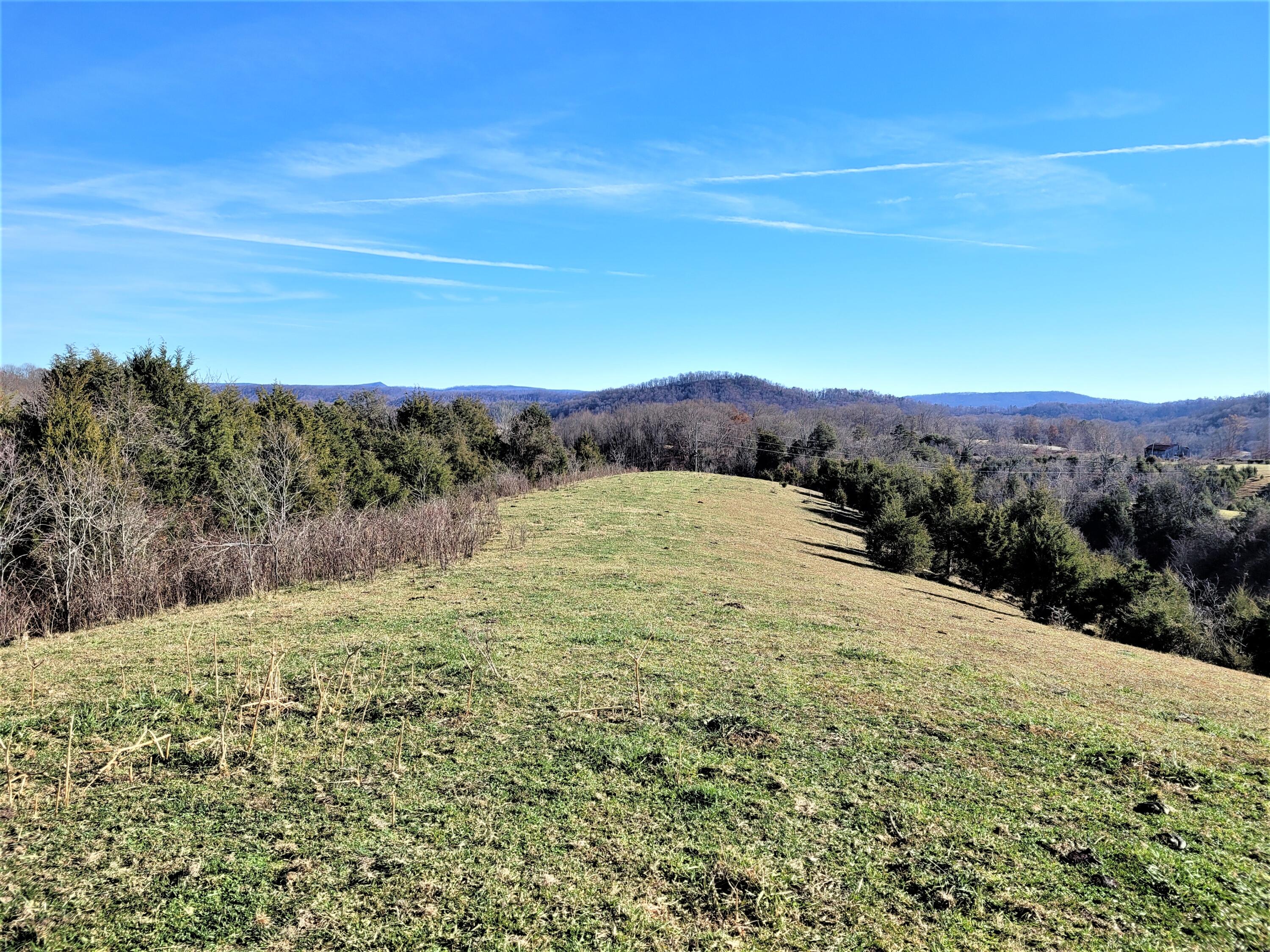 397 Richards Road Rogersville, TN 37857 - Photo 11 of 12 11