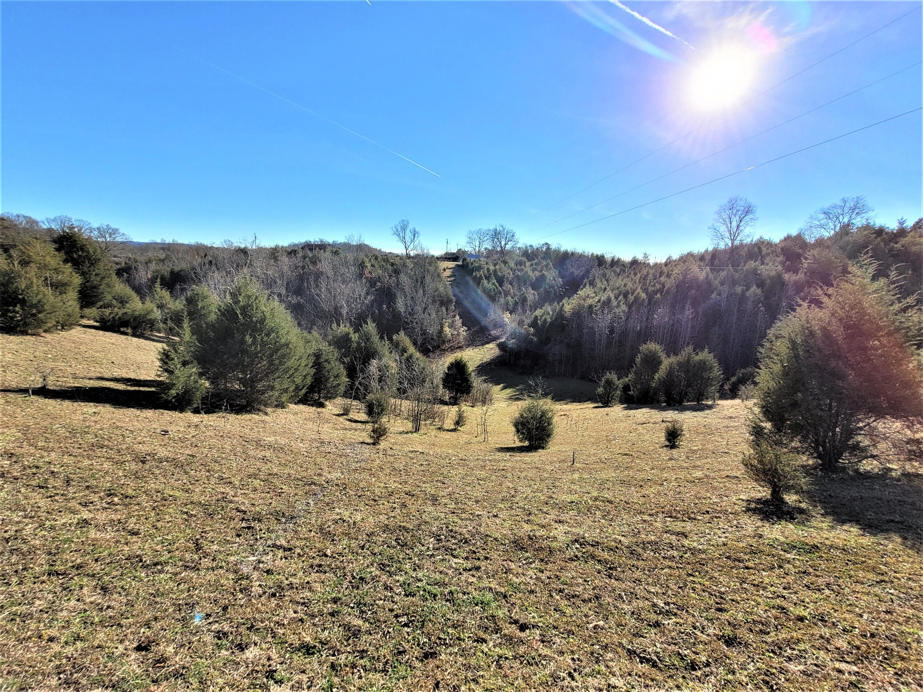 397 Richards Road Rogersville, TN 37857 - Photo 3 of 12 9
