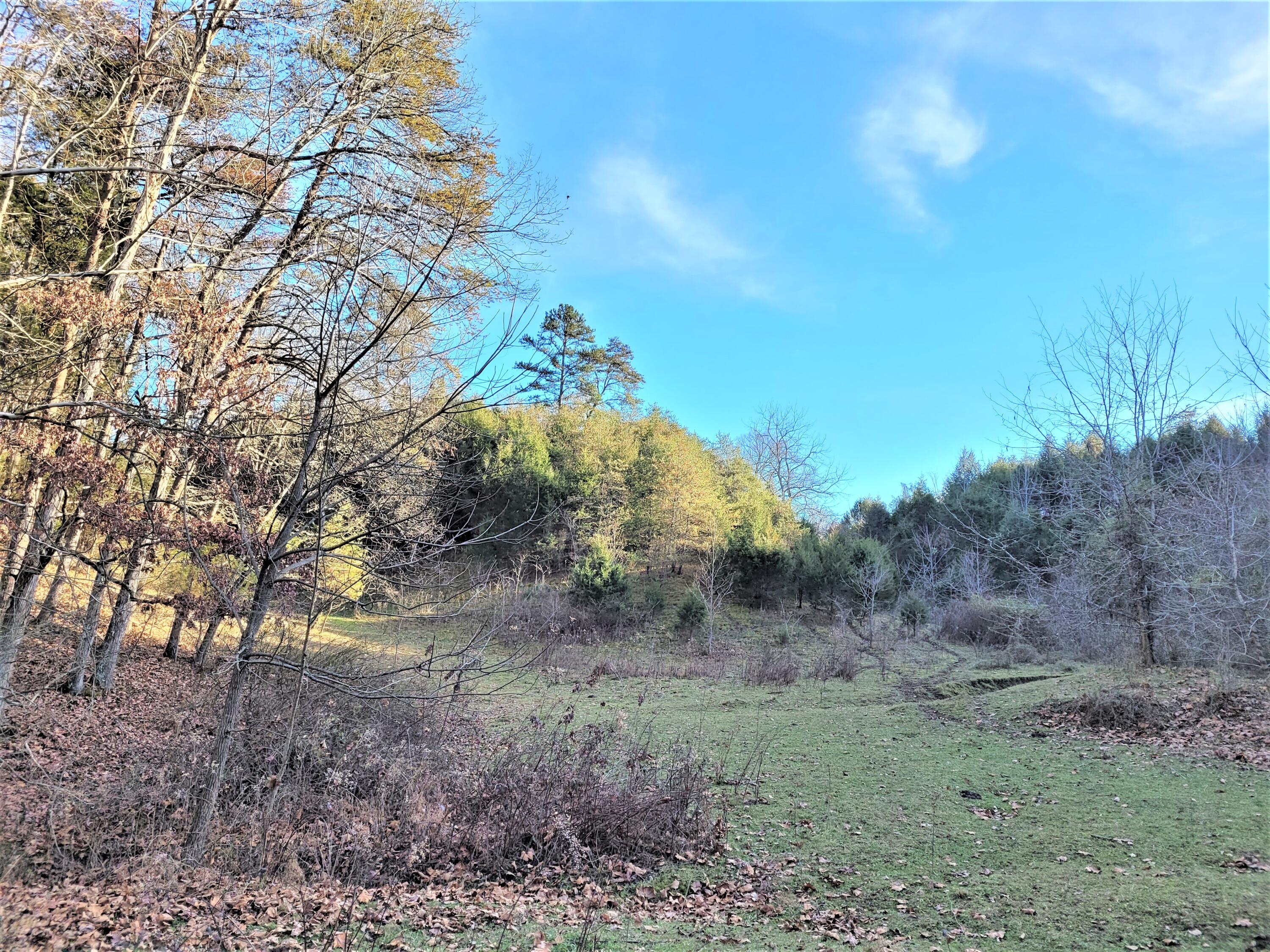 397 Richards Road Rogersville, TN 37857 - Photo 4 of 12 1