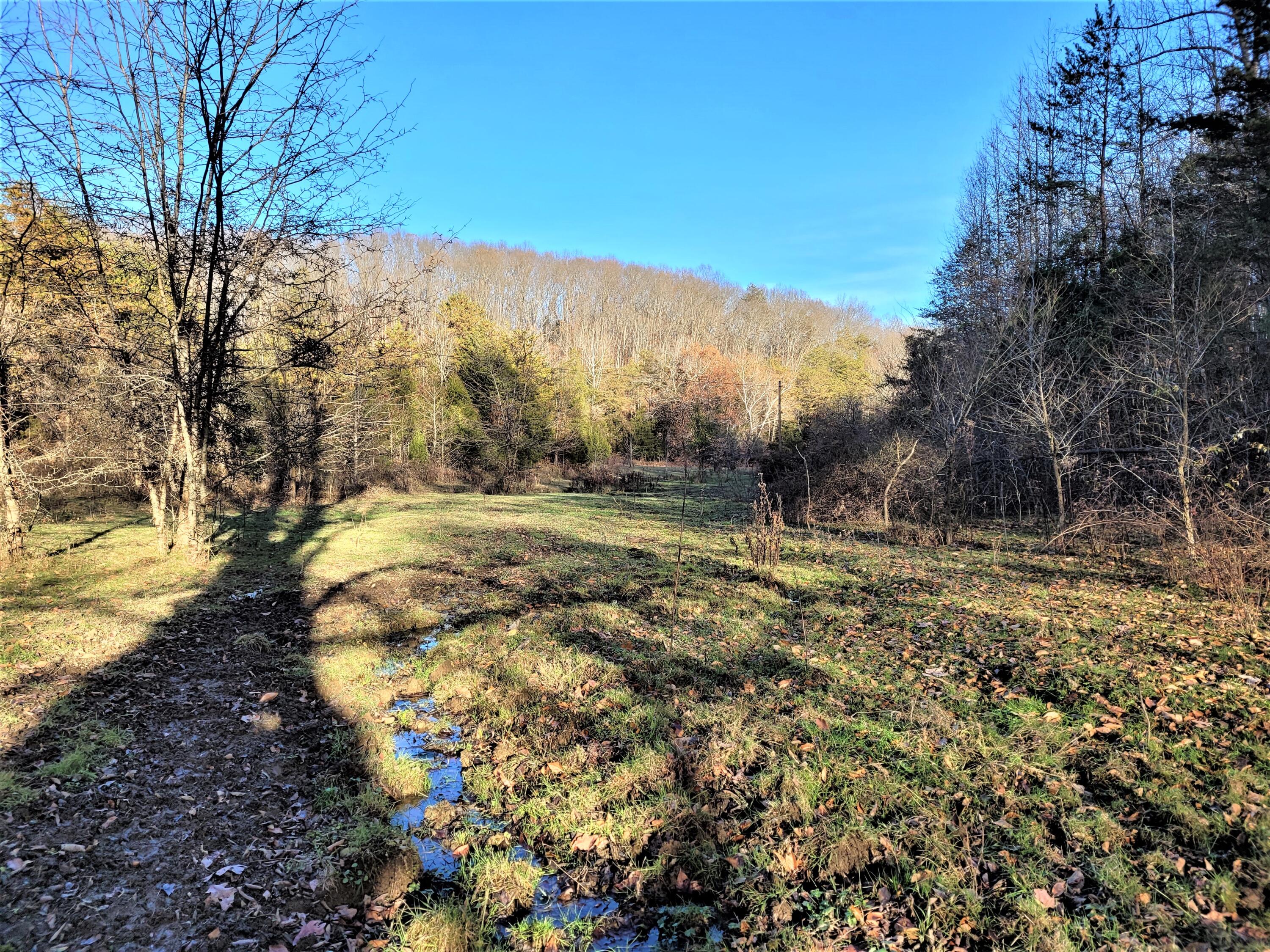 397 Richards Road Rogersville, TN 37857 - Photo 5 of 12 2