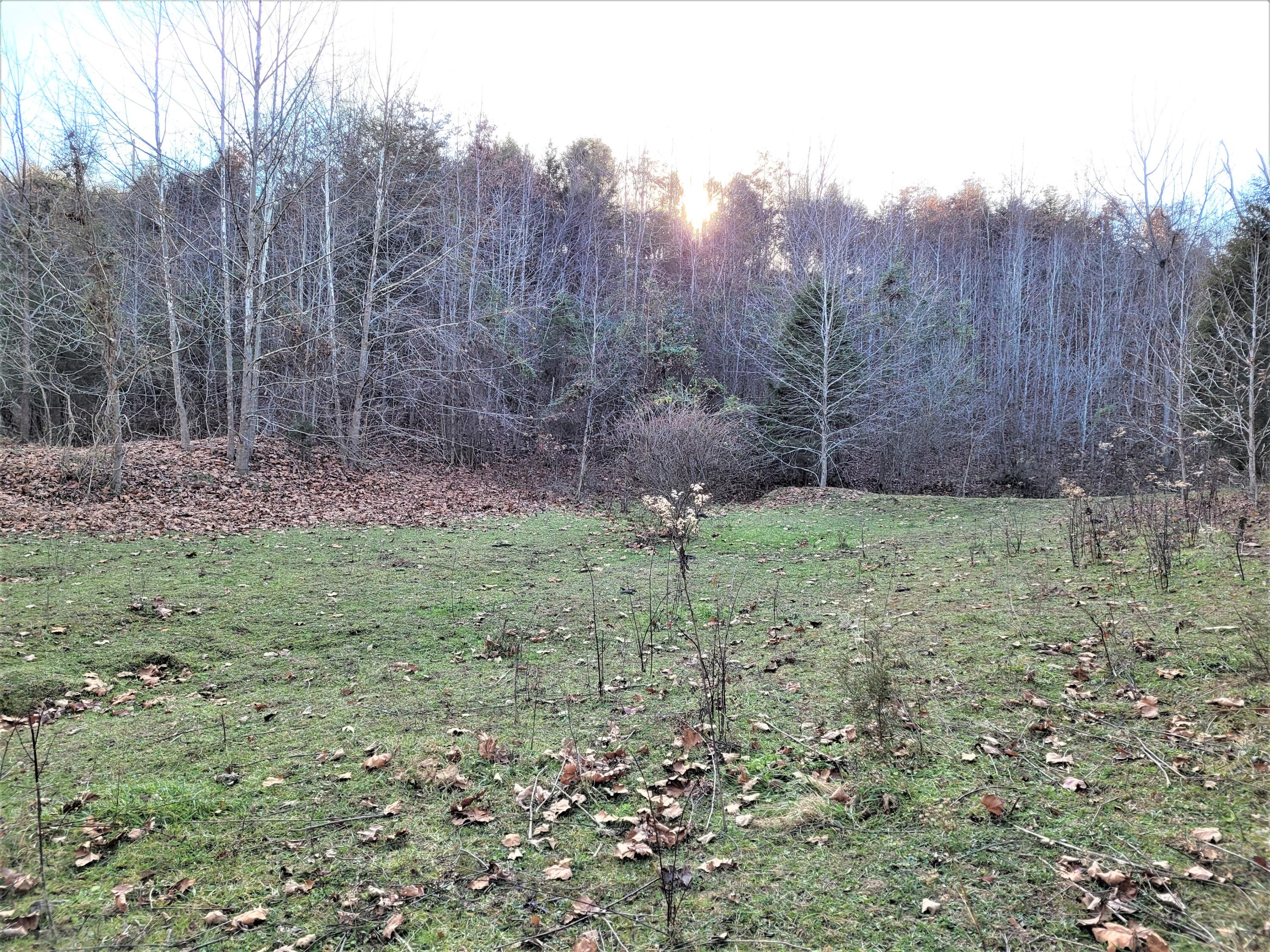 397 Richards Road Rogersville, TN 37857 - Photo 6 of 12 4