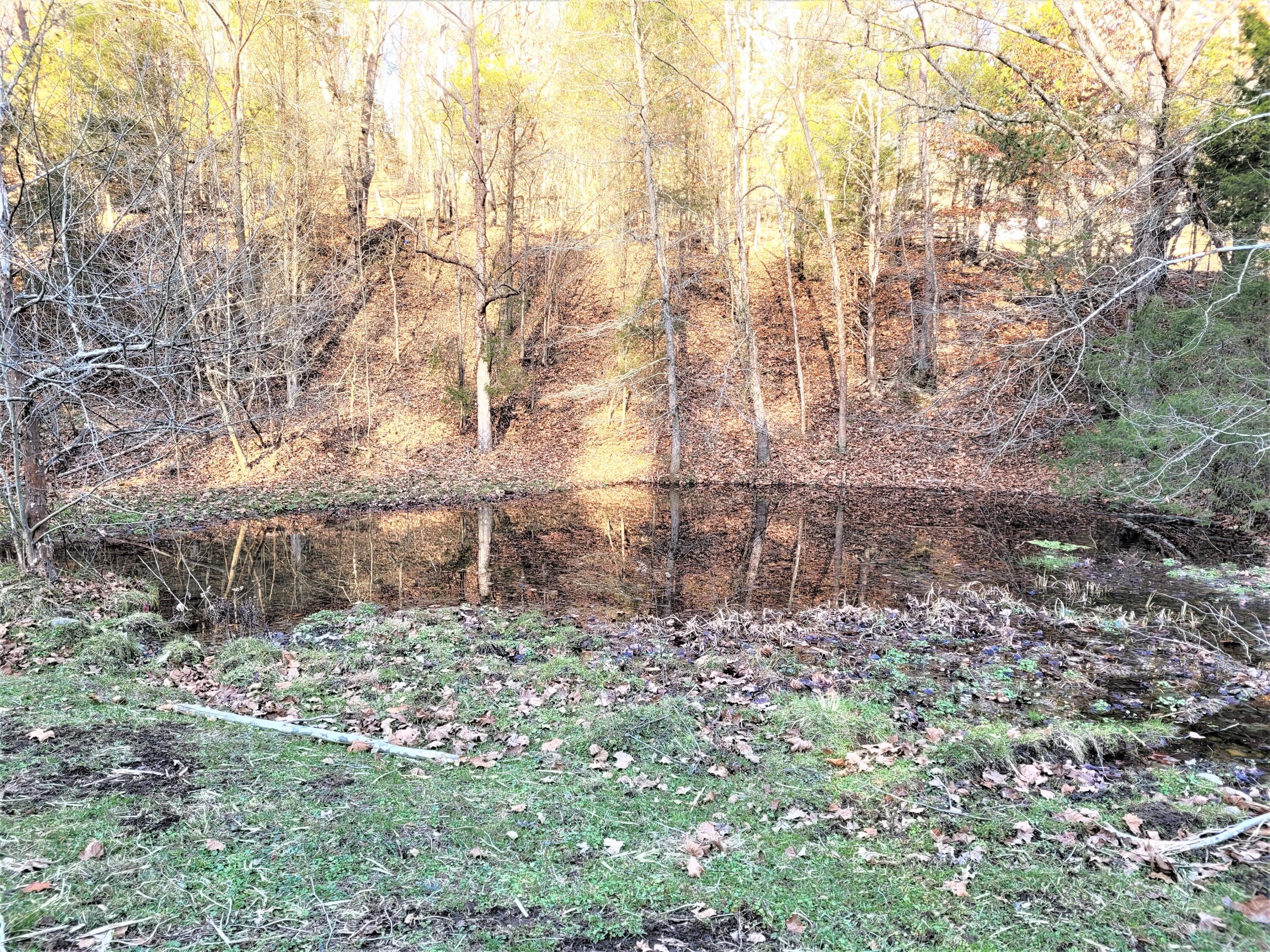 397 Richards Road Rogersville, TN 37857 - Photo 9 of 12 8