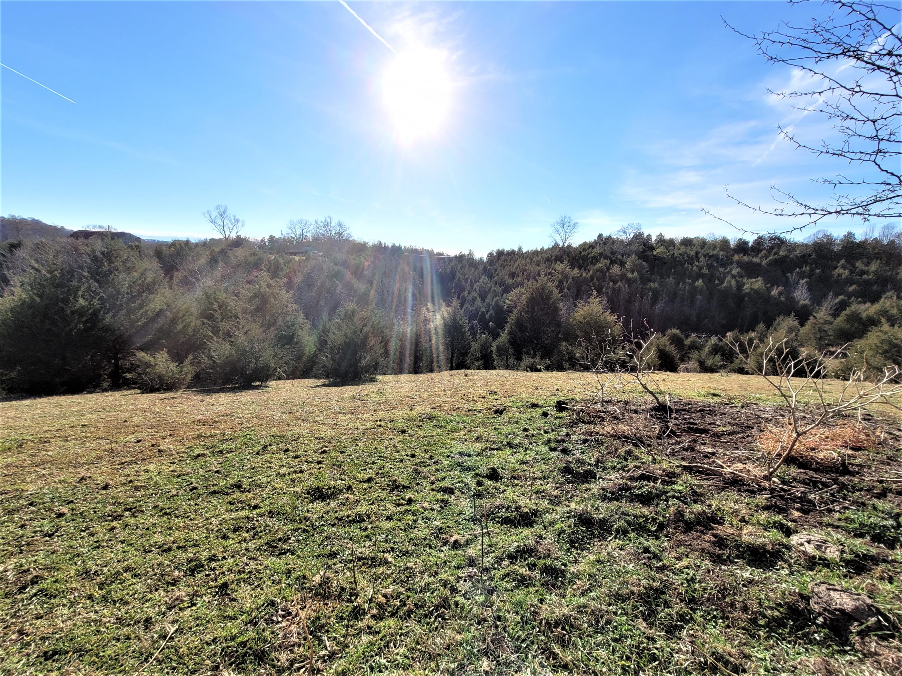 397 Richards Road Rogersville, TN 37857 - Photo 10 of 12 10