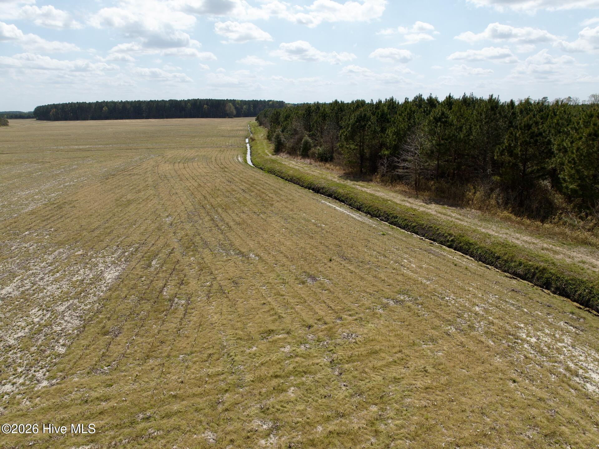 0 Middle Swamp Road Gates, NC 27937 - Photo 7 of 22 7
