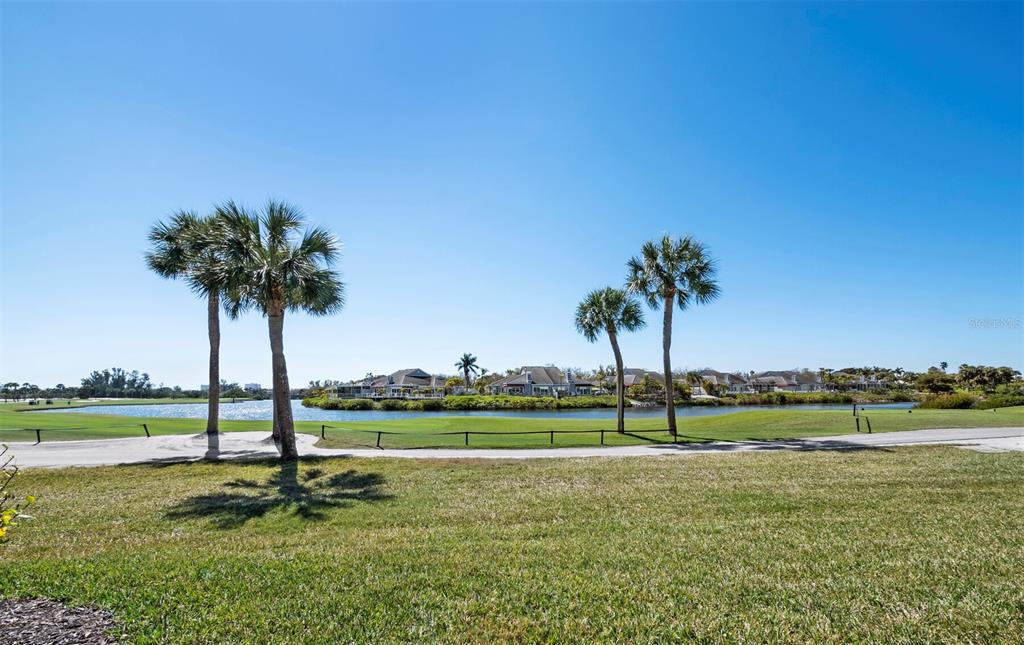 3459 Byron Lane Longboat Key, FL 34228 - Photo 23 of 40 a view of a park with a palm tree