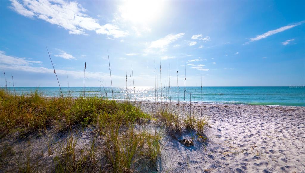 3459 Byron Lane Longboat Key, FL 34228 - Photo 36 of 40 a view of a lake