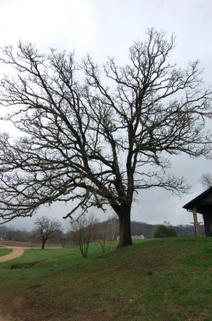 $499,900 | 24800 Morris Valley Road, Richland Center, WI 53581