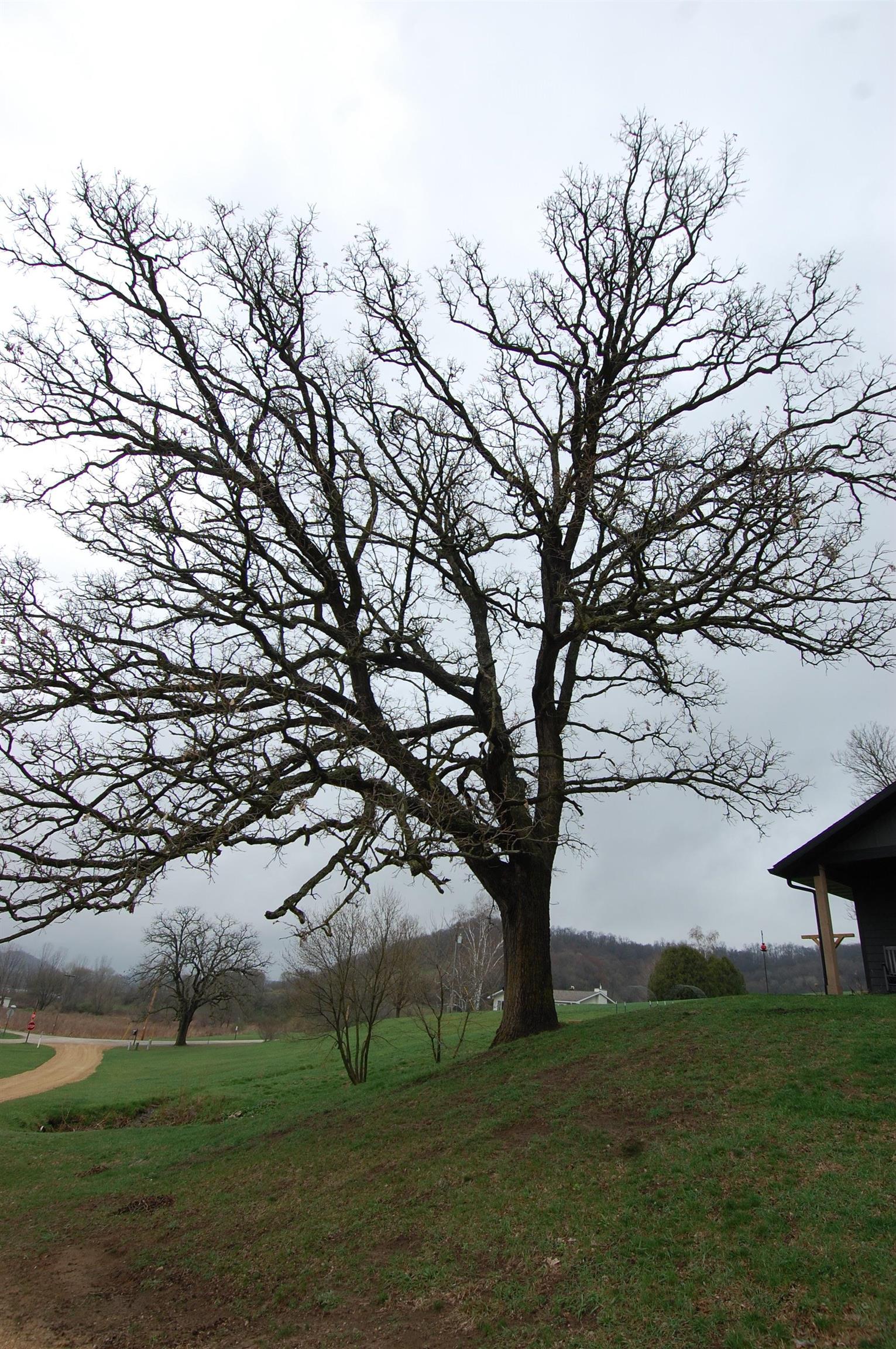 24800 Morris Valley Road Richland Center, WI 53581 - Photo 4 of 54