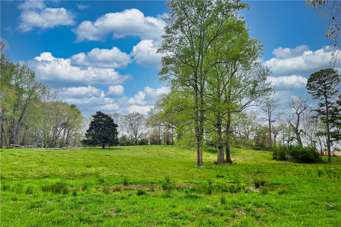 0 Hawkins Circle Inman, SC 29349 - Photo 3 of 21 Gallery Image 3